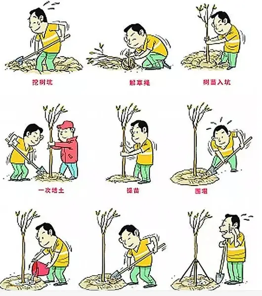 春来到之植树节,江南鸿郡送景区门票