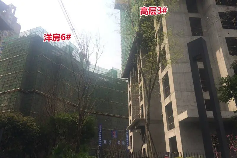 工程进度图