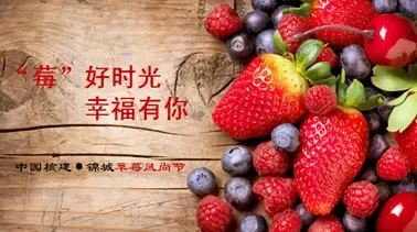 莓好生活幸福有你