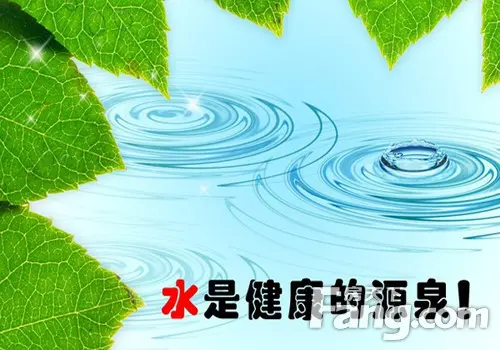 法兰尼净水器价格表