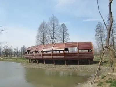 生态 内的观鸟廊