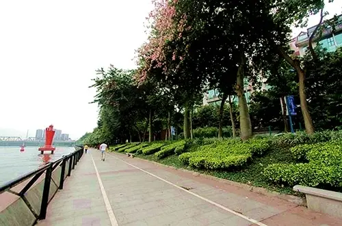 中央生态市政设施片区