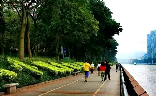 珠岛花园处处均可见在公园休憩的居民
