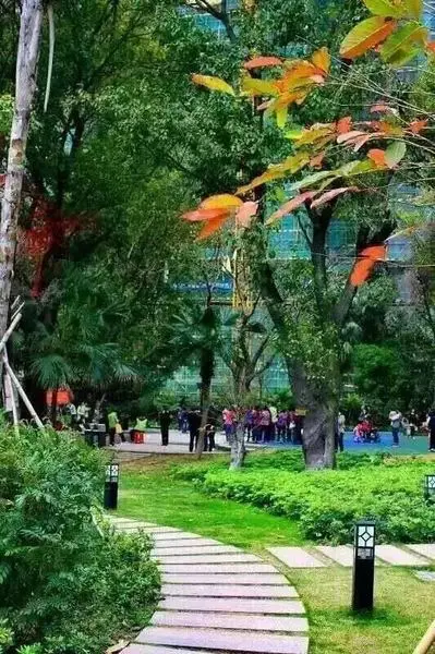 大坦沙岛将成宜居点