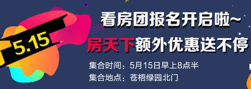 看房团