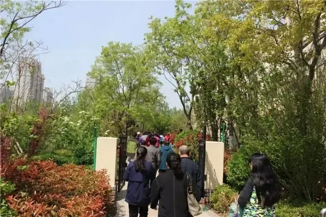 万步走