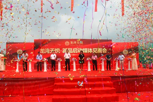 龙湾天悦新品媒体见面会盛大开启 描绘莞北人居新蜕变