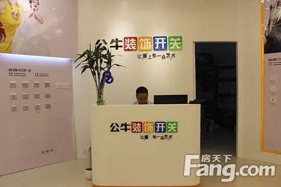 公牛装饰开关:让墙上多一点艺术