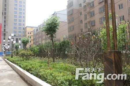 鑫声玉城