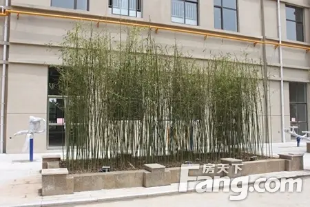 鑫声玉城