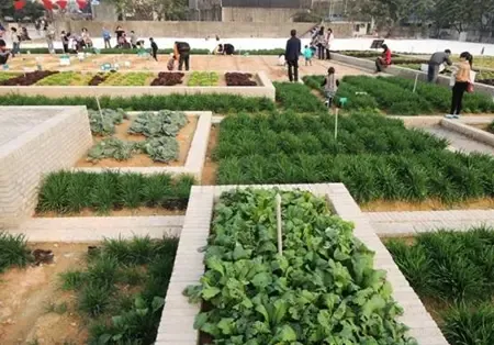 格林地产城会玩买房送开心农场