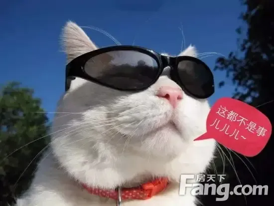 从上世纪80年代出国潮时,那些诚惶诚恐去各大西方国家排队见签证官的