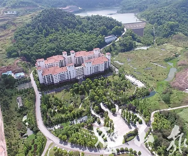 咨询郁郁葱葱的登云公园善弈者谋势顺应发展的必然选择工业经济占主导