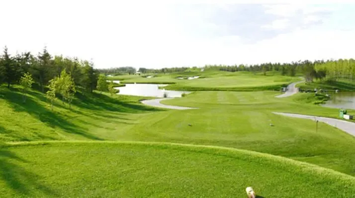 入则静谧 茂林犒赏生活大境