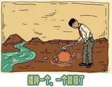 种太阳的小伙儿长大后有话要说