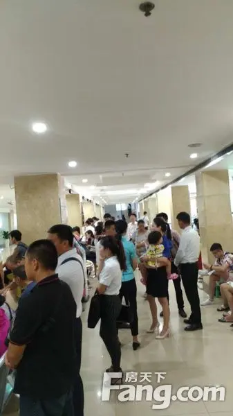 北海房地产交易中心几乎每天都“挤破头”！