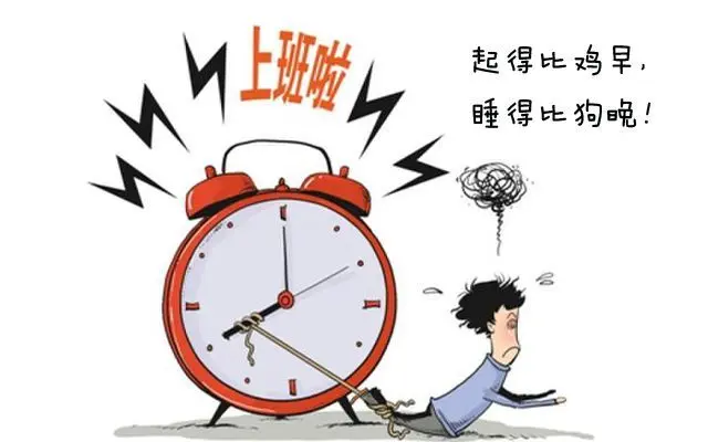 描述