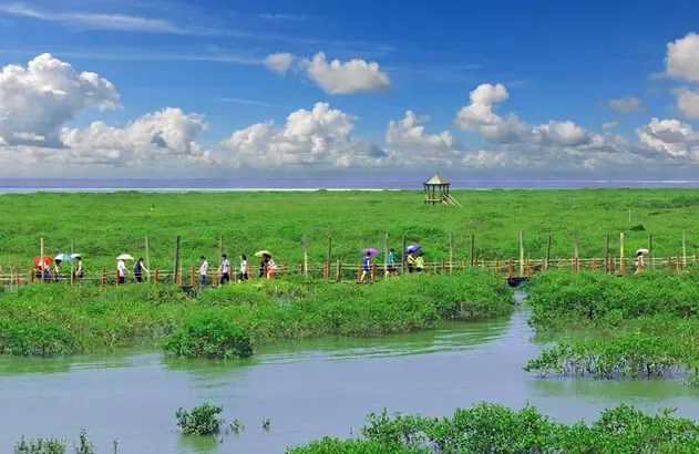 环境质量保持良好 北海交出漂亮生态答卷