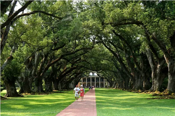 【武汉】项目 :汉口新界广场:出则繁华尽揽入则静谧独享