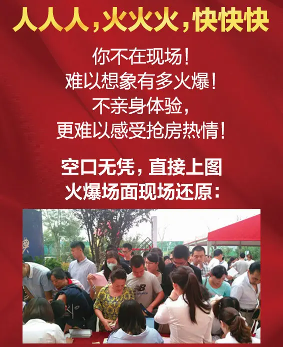 金鹰