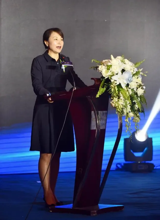 红星美凯龙华北东北大区g200跨界战盟峰会 升级"一站定制"时代