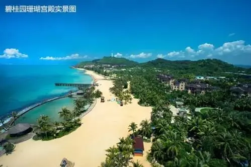 碧桂园