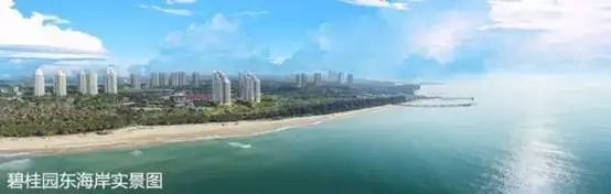 碧桂园