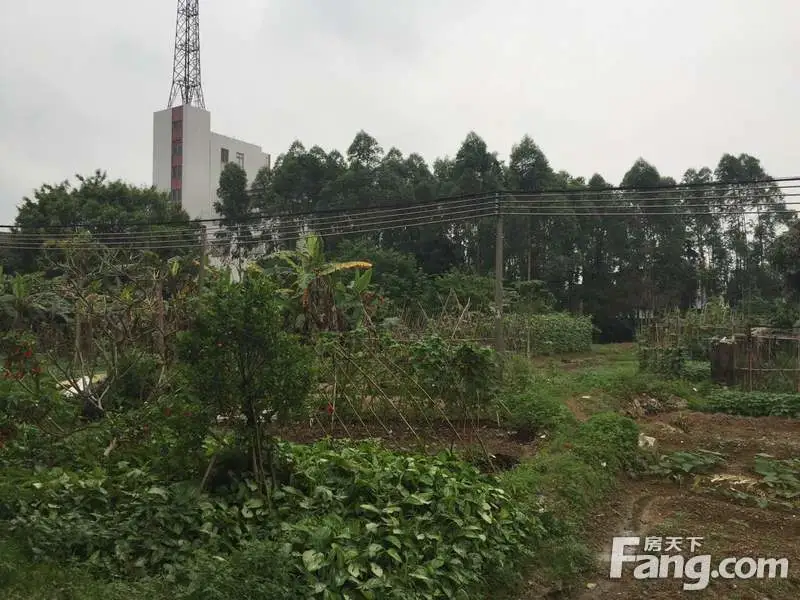 新会土拍