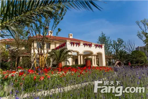 踩盘手记蓝光天悦辰意式定制非毛坯的优雅生活