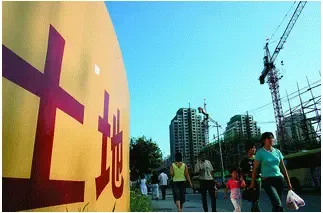 海南:将无偿收回部分闲置土地 或收取土地闲置费