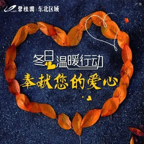 这个城市需要这样的温度碧桂园冬日温暖行动进行时