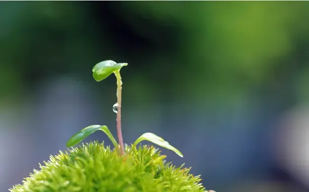 K2地产更名石榴集团 布局科技金融地产三大板块