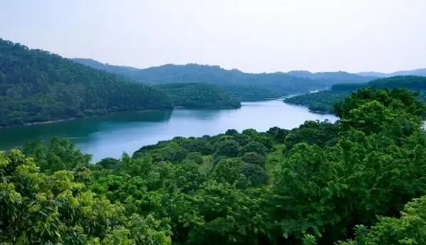 虎门十大旅游景点,你都去过哪些?_房产资讯-东莞房天下