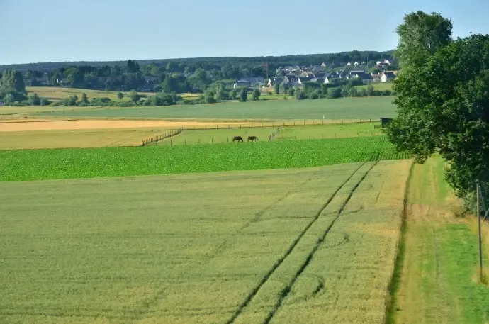 深圳3号线东延段开始土地整备 未来坪地直通地铁