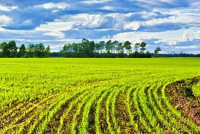海南省东方市国土局：严厉打击非法买卖土地行为