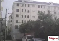����С��