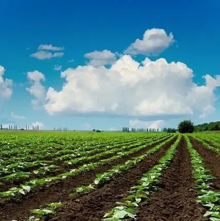 天津已建棚户区改造安置房5.04万套 征拆114万平