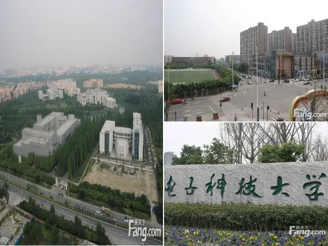 成都合院公园里