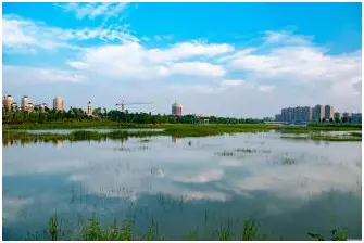 新城区