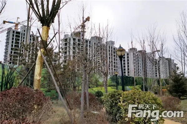 11#楼沙盘图实拍  交通状况:公交: 11路,15路,16路,33路,西孟村站下