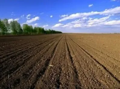 今全国两会代表委员热议耕地“三位一体”保护话题