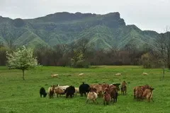 天津中心城区推出15宗地块 住宅用地面积占比七成