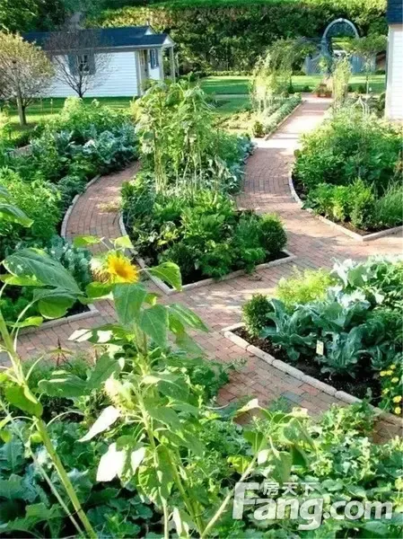 开封海马公馆 愿有一院,活色生香