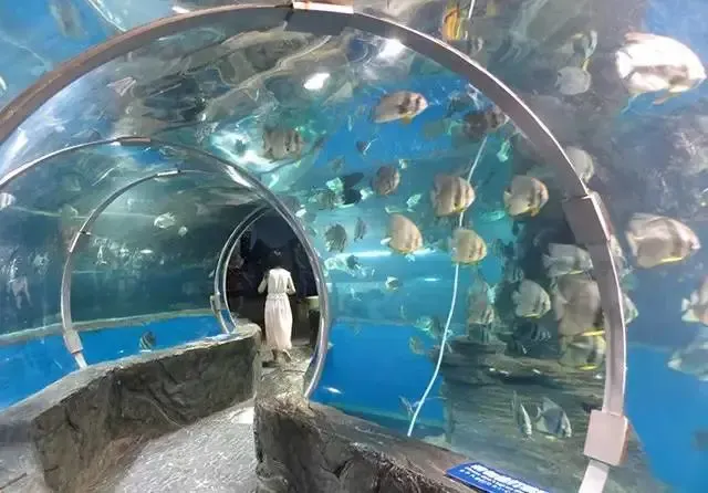 东珠西珠不如南珠 千海万海不如北海_房产资讯-宁德房天下