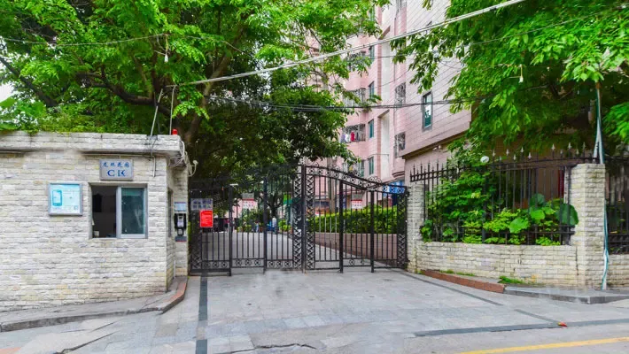 深圳龙珠花园小区攻略