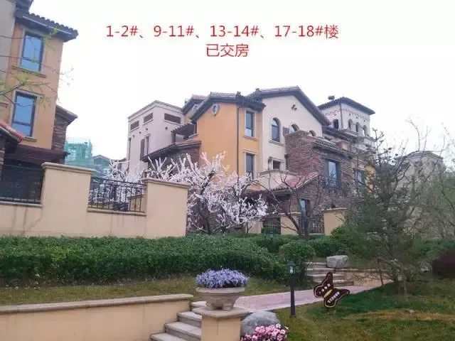 【隆基泰和 紫岸】工程进度播报