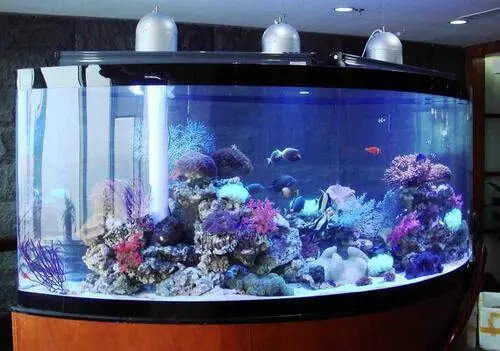 水族箱造景价格 水族箱造景方法