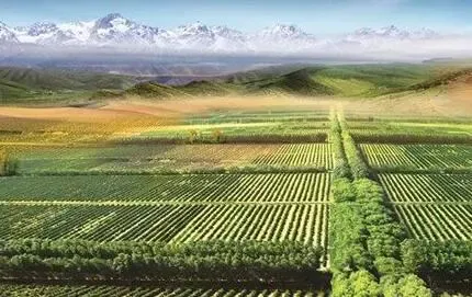 北京市规划国土委公开挂牌督办土地违法案件的情况