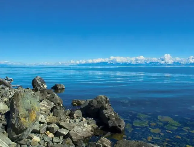 热度不减反增：澳大利亚仍是中企海外投资“热土”