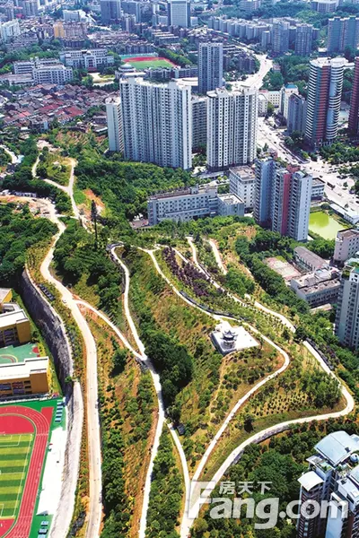 半岛森林公园即将开园